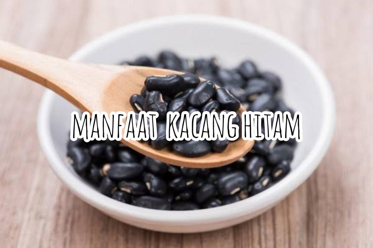 MANFAAT KACANG HITAM BAGI KESEHATAN